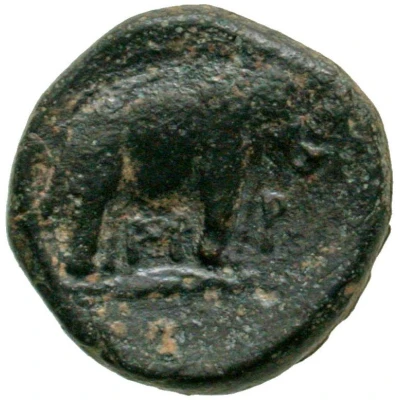 Semuncia 216 BC - 211 BC back