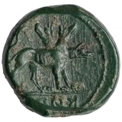 Semuncia 216 BC - 211 BC back