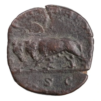 Sestertius - Philippus I SAECVLARES AVGG S C; She-Wolf, Romulus, and Remus back