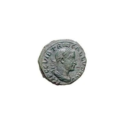 Sestertius - Trebonianus Gallus P M S COL VIM AN XIII, Viminacium front