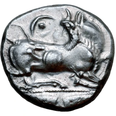 Siglos 480 BC front