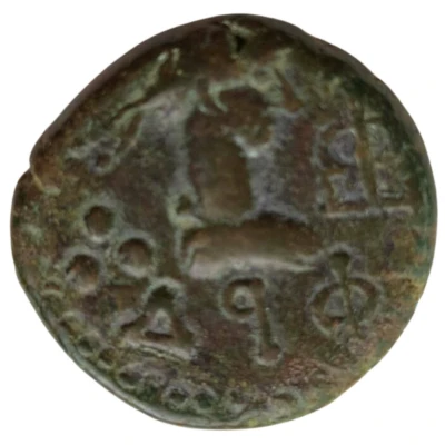 Stater - Thothorses back