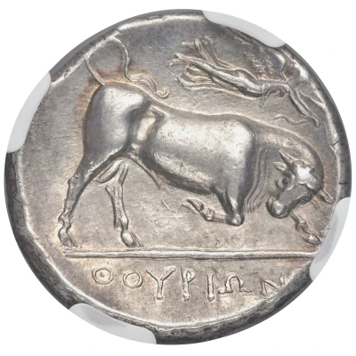 Stater - Timo 300 BC - 280 BC back