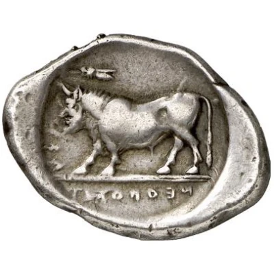 Stater 450 BC - 430 BC back