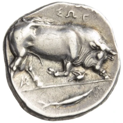 Stater 350 BC - 300 BC back