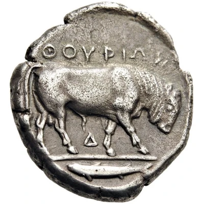 Stater 443 BC - 400 BC back