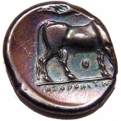 Stater 340 BC - 241 BC back