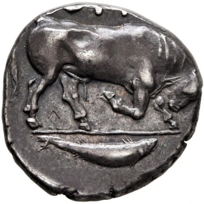 Stater 443 BC - 400 BC back