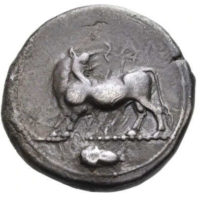 Stater 480 BC - 460 BC front