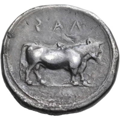 Stater 480 BC - 460 BC back