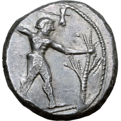 Stater 460 BC - 430 BC front