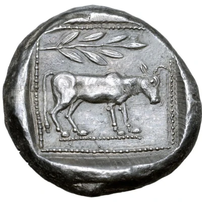 Stater 460 BC - 430 BC back