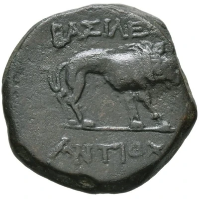 Tetrachalkon - Antiochos I Theos 69 BC - 34 BC back