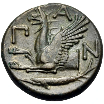 Tetrachalkon - Paerisades I Panticapaeum 310 BC - 303 BC back