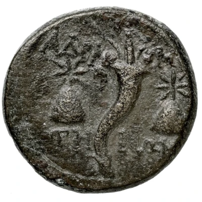 Tetrachalkon 119 BC - 63 BC back