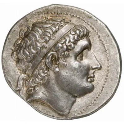 Tetradrachm - Antiochos I Soter Smyrna 281 BC - 261 BC front