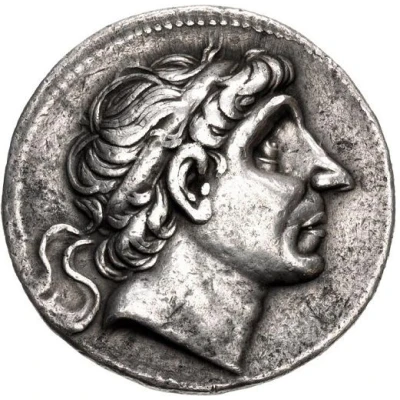 Tetradrachm - Antiochos II Theos Seleuceia ad Tigrim 261 BC - 246 BC front