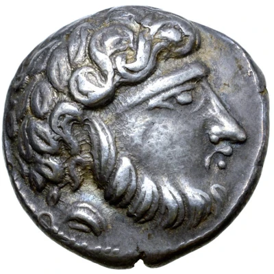 Tetradrachm Baumreiter Type 300 BC - 201 BC front