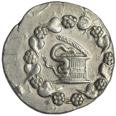 Tetradrachm Cistophoric Type front