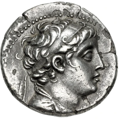 Tetradrachm - Demetrios II Sidon 167-172 146 BC - 141 BC front