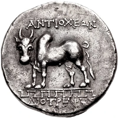 Tetradrachm - Diotrephes 90 BC - 60 BC back