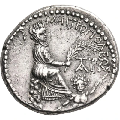 Tetradrachm - Domitian back