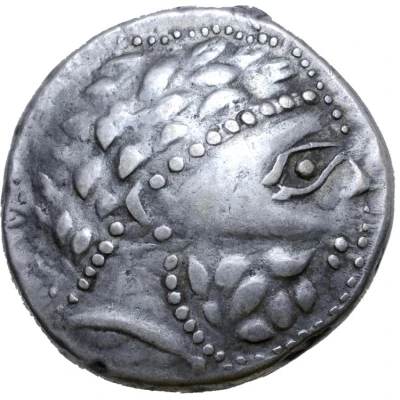 Tetradrachm Dreieckhals Type 300 BC - 201 BC front