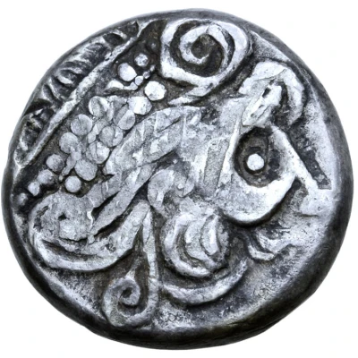 Tetradrachm Eberkopf Type 300 BC - 201 BC front