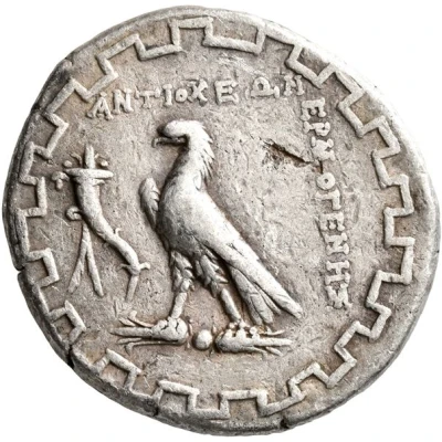 Tetradrachm - Hermogenes 90 BC - 60 BC back