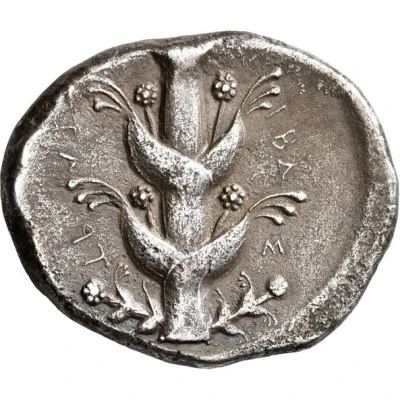 Tetradrachm - Libystratos 435 BC - 331 BC front