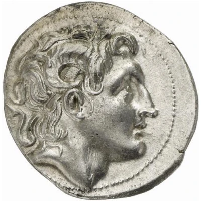 Tetradrachm - Lysimachos Amphipolis 288 BC - 281 BC front