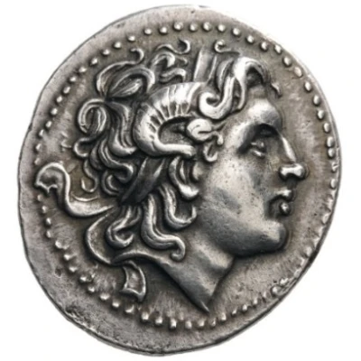 Tetradrachm - Lysimachos 280 BC - 270 BC front