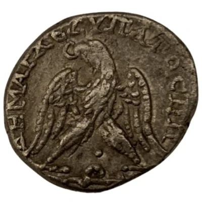 Tetradrachm - Macrinus ΔHMAΡX EΞ YΠATOC ΠΠ; Caesarea Maritima back