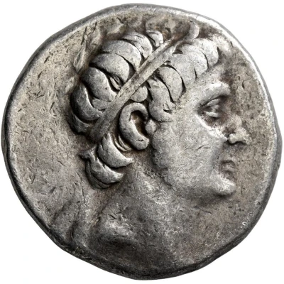 Tetradrachm - Seleukos II Kallinikos Nisibis 246 BC - 225 BC front