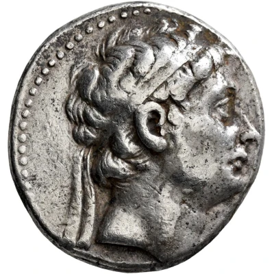 Tetradrachm - Seleukos II Kallinikos Sardes 246 BC - 226 BC front