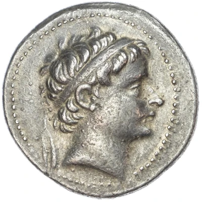 Tetradrachm - Seleukos II Kallinikos Teos 246 BC - 225 BC front