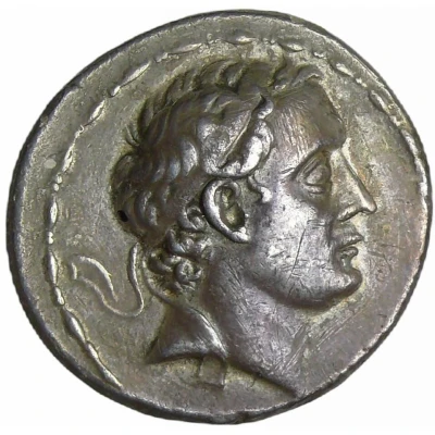 Tetradrachm - Seleukos IV Philopator 187 BC - 175 BC front