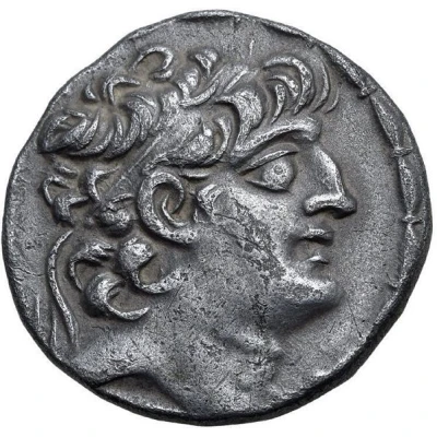 Tetradrachm - Seleukos VI Nikator 96 BC - 95 BC front