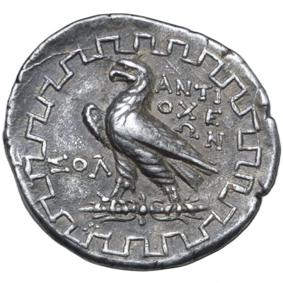 Tetradrachm - Solon 90 BC - 60 BC back