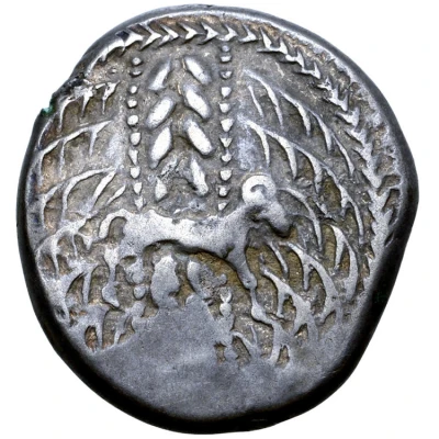 Tetradrachm Svicca Type 100 BC - 1 BC front