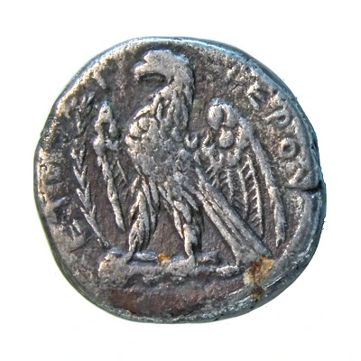 Tetradrachm - Vespasian Antioch back