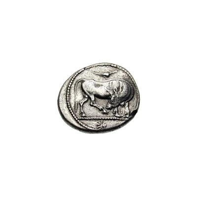 Tetradrachm 500 BC - 450 BC front