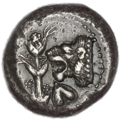 Tetradrachm 525 BC - 480 BC front