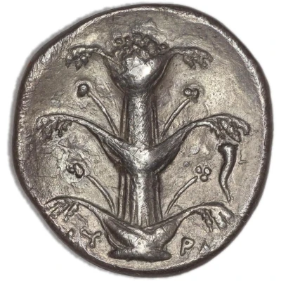 Tetradrachm 308 BC - 277 BC front