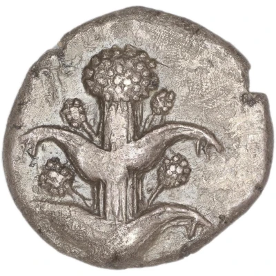 Tetradrachm 450 BC - 420 BC front