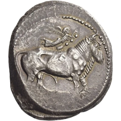 Tetradrachm 464 BC - 450 BC front