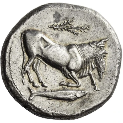 Tetradrachm 465 BC - 450 BC front