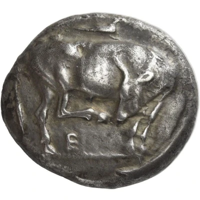 Tetradrachm 510 BC front