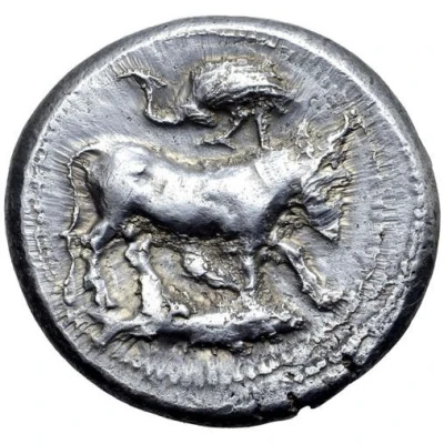 Tetradrachm 465 BC - 450 BC front