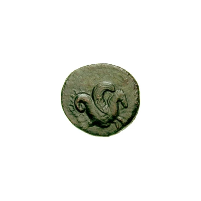 Tetras 400 BC - 300 BC back